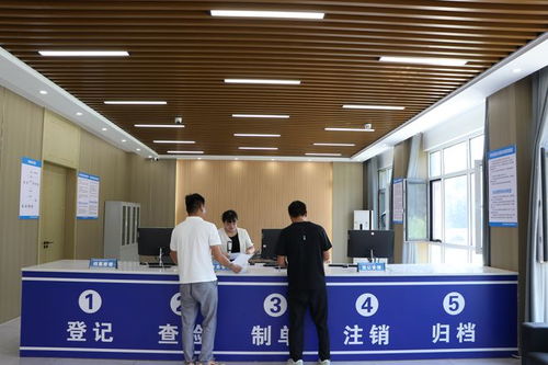 单县北外环大型报废机动车与旧家电拆解 废弃电器电子产品处理厂掠影